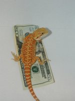 Sale 7-16-12 007.jpg