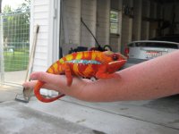IMG_2382.jpg