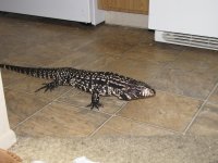 IMG_0795.jpg