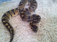 20120726_145110.jpg