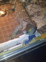 IMG-20111215-00187.jpg