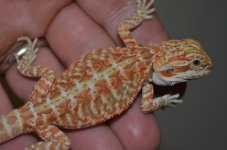 DSC_7645.jpg
