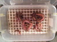 20120531_212312.jpg