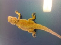 IMG_20120620_082709.jpg