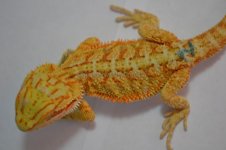 B2_7-18-2012_08.jpg
