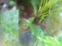 IMG_1889.jpg