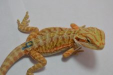 B9_7-12-2012_06.jpg