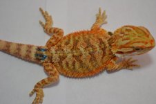 B10_7-18-2012_01.jpg