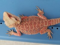 20120702_193249.jpg