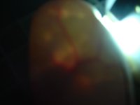 DSCF0007.JPG