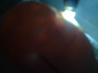 DSCF0006.JPG