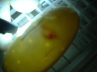 DSCF0009.JPG