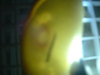 DSCF0008.JPG