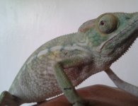 2012-06-24 17.14.12.jpg