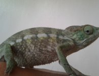 2012-06-24 17.13.35.jpg