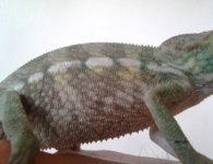 2012-06-24 17.13.38.jpg