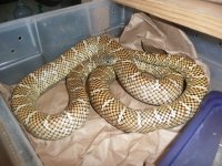 P1080625.jpg