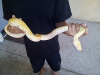 20120707_184001.jpg