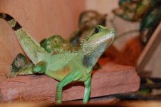 DSC_0028_2.jpg