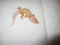 IMG_2597.jpg