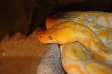 IMG_6823.jpg