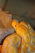 IMG_6824.jpg