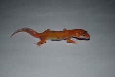 DSC_0012.jpg