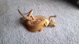 2011-07-28_16-20-31_175.jpg