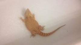 2012-01-15_18-22-32_651.jpg