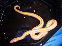 100_2284.jpg