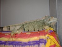 xmas 2005 009.jpg