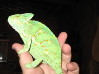 IMG_4358.JPG