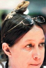 613178_211977.jpg