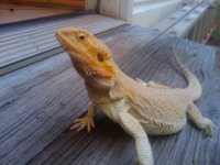 2010-05-07 19.18.57.jpg