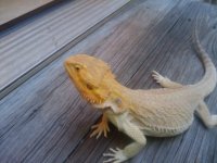 2010-05-07 19.19.19.jpg