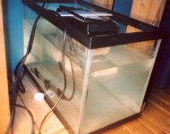 g-incubator.JPG
