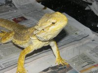 2010_07020032.jpg