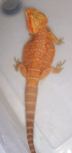 100_2616.jpg