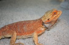 IMG_0834.jpg