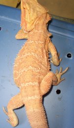 100_2598.jpg