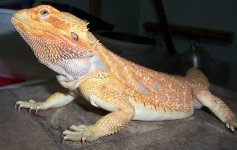 100_2532.JPG