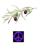 olive branch.jpg