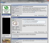 sierra6.jpg