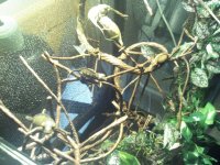 2011-11-26_22-47-35_974.jpg