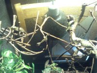 2011-11-26_22-48-24_245.jpg