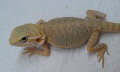IMAG2707-1.jpg