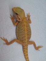 IMAG2709.jpg