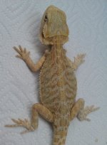 IMAG2701-1.jpg