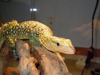 DSCN4281.jpg