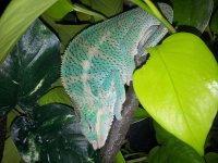 20120522_224422.jpg